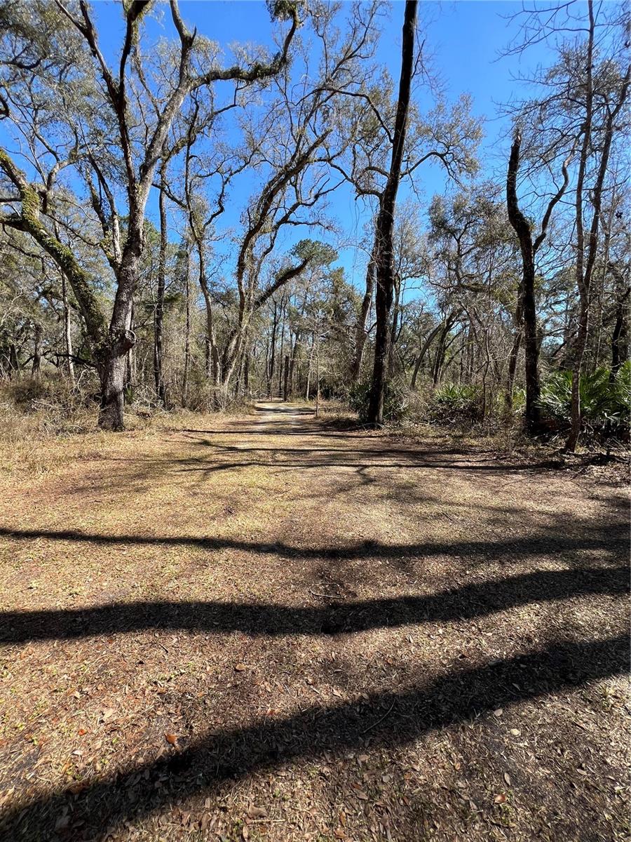 MAJESTIC SUWANNEE RIV OAKS - Land