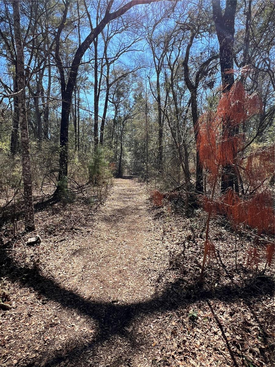 MAJESTIC SUWANNEE RIV OAKS - Land