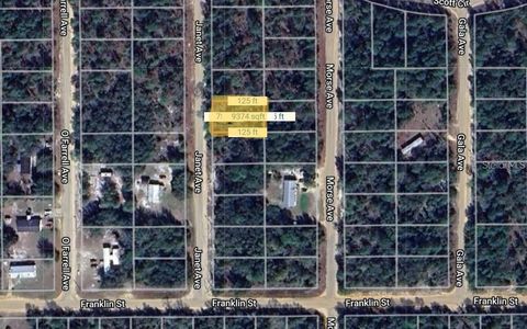 0 JANET AVENUE INTERLACHEN FL 32148