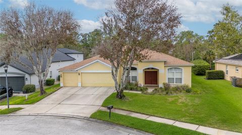 6111 HERONCREST COURT LITHIA FL 33547