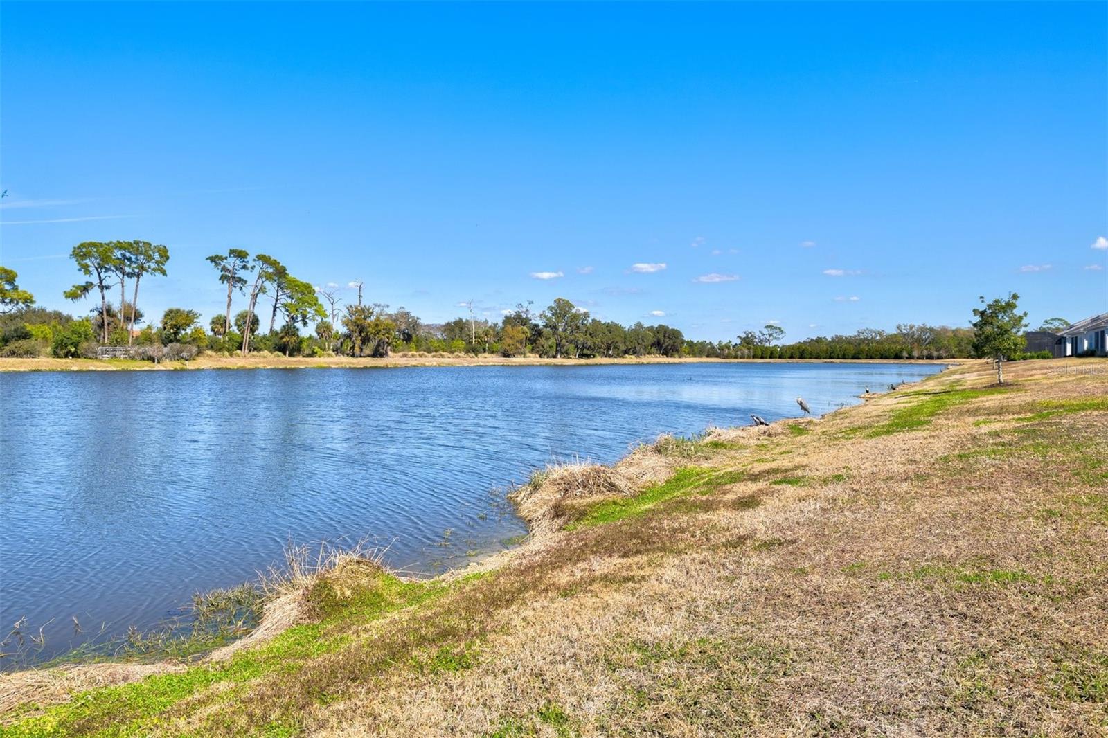 GRAND PARK PH 1 - Residential