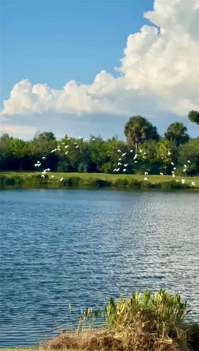 GRAND PARK PH 1 - Residential