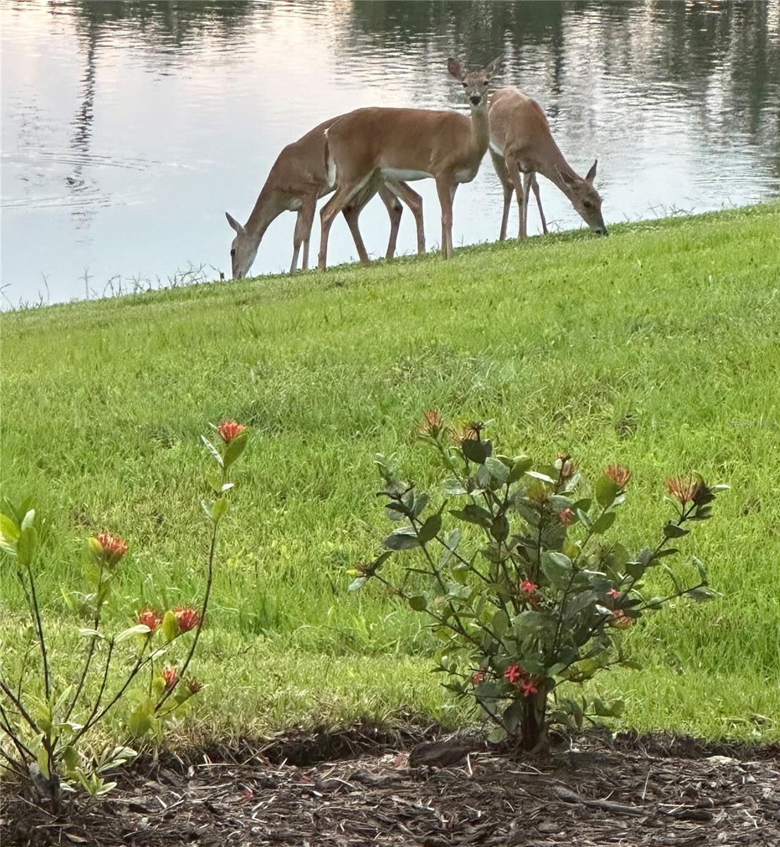 GRAND PARK PH 1 - Residential