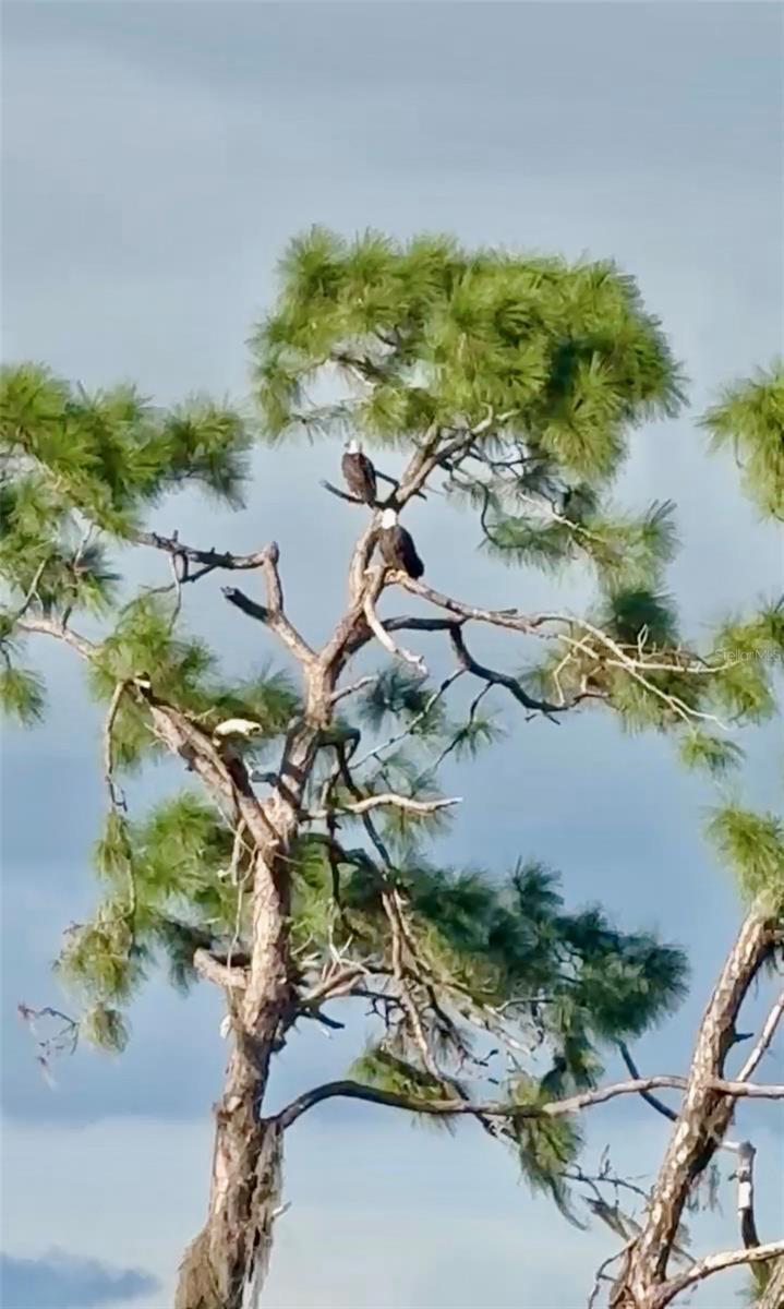 GRAND PARK PH 1 - Residential