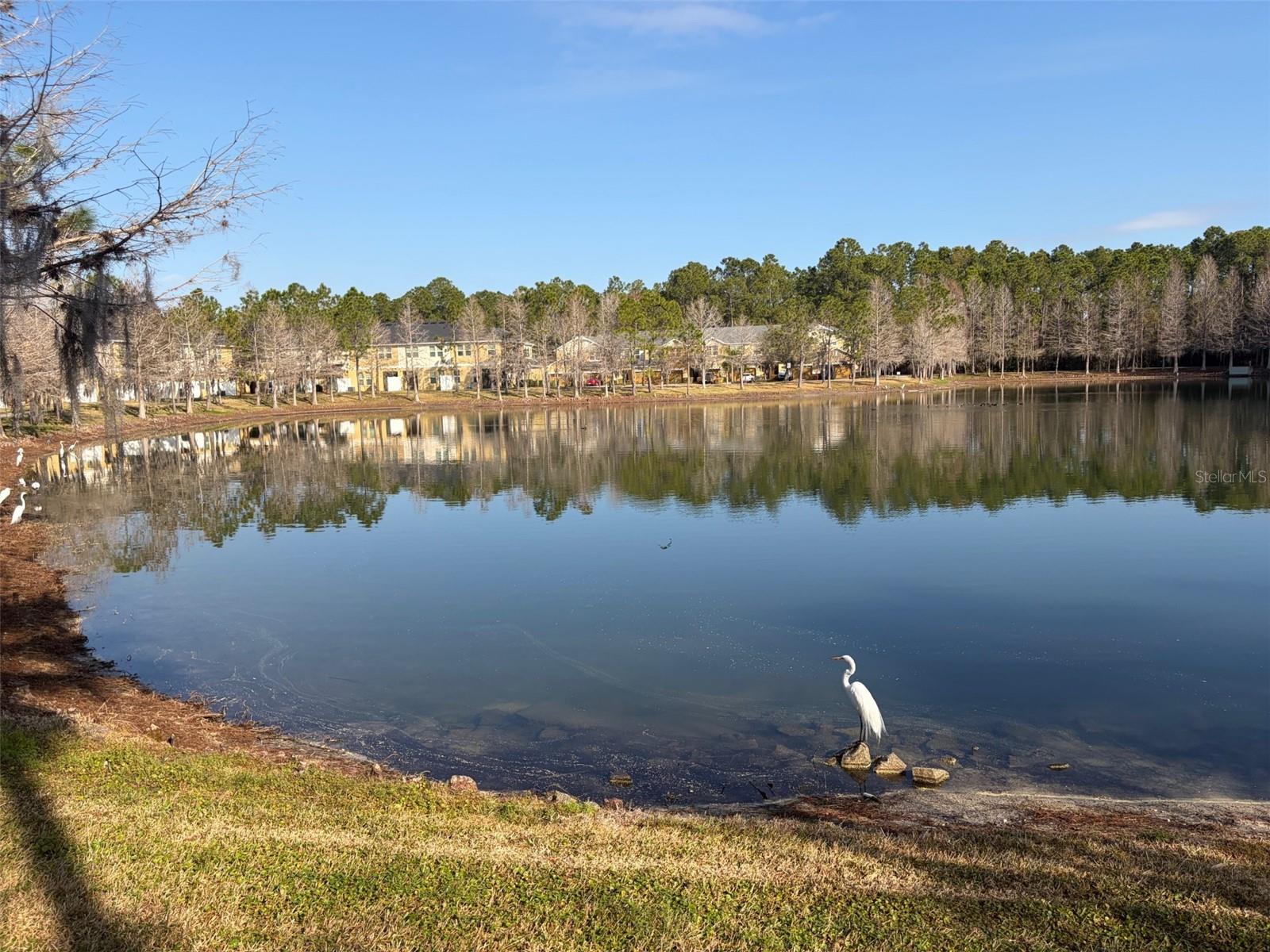 OASIS COVE 2 AT LAKESIDE VILAGE - Residential