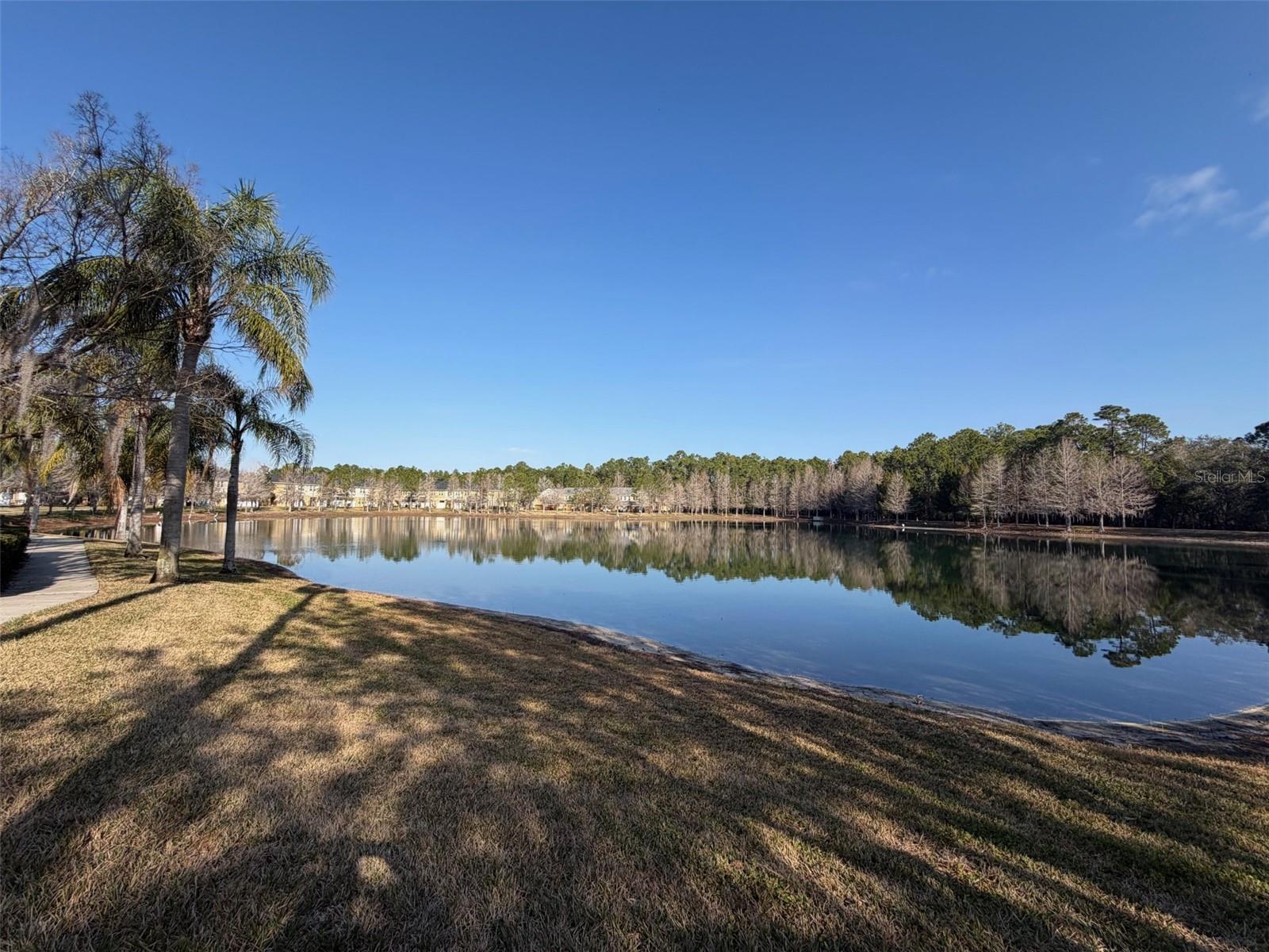 OASIS COVE 2 AT LAKESIDE VILAGE - Residential