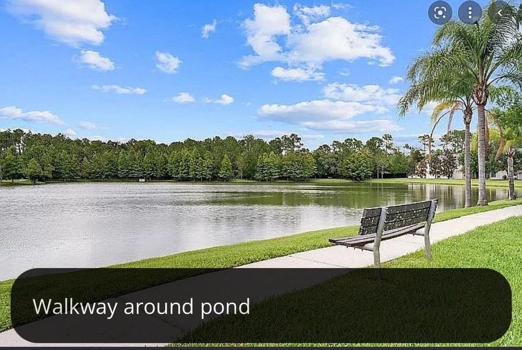 Photo of 8162 Serenity Spring Dr, Windermere, FL 34786 (MLS # O6382279)