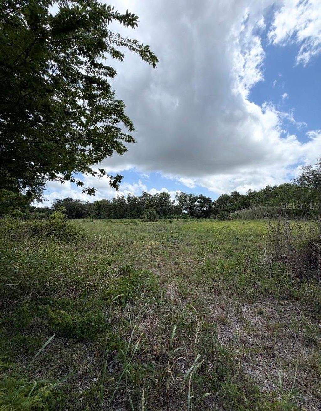 Photo of N Oakland Street, Leesburg, FL 34748 (MLS # G5111668)