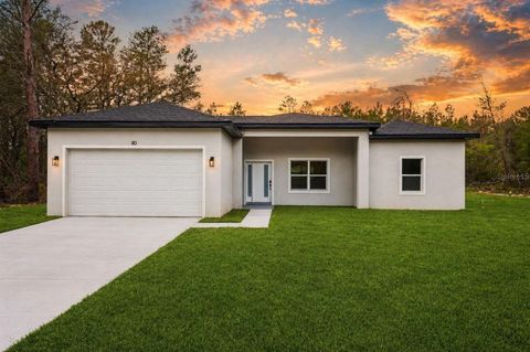 Photo of 80 Malauka Pass Course, Ocklawaha, FL 32179 (MLS # O6393712)