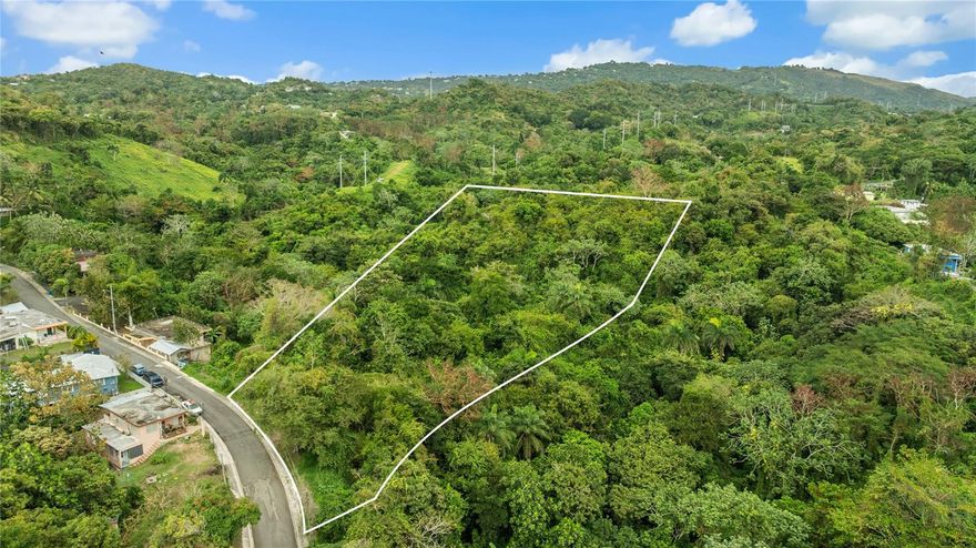 We present an excellent opportunity in the Jagüitas sector of Hormigueros: 1.3 acres, approximately 5,532 sq ft. This property offers the ideal balance of privacy, natural surroundings, and development potential; located in Flood Zone X (minimal risk) and classified as B-Q (Forest), it provides a privileged setting for developing a private residence, an eco-friendly project, or maintaining it as a strategic medium-to-long-term investment. Its expansive size allows for creative design freedom and a peaceful atmosphere, all while maintaining convenient access to main roads, shops, and essential services in the western region, resulting in a property with unique character and significant vision. CRIM: $100.00 yearly.