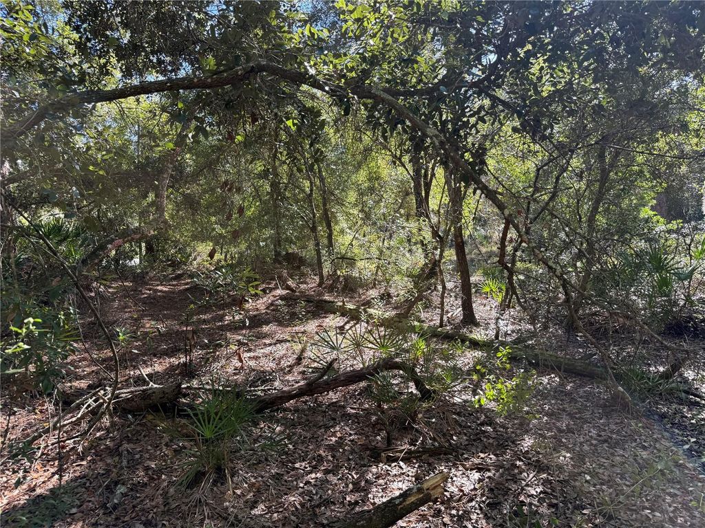 Photo of 27975 Robin Roost Lane, Wesley Chapel, FL 33544 (MLS # TB8447806)