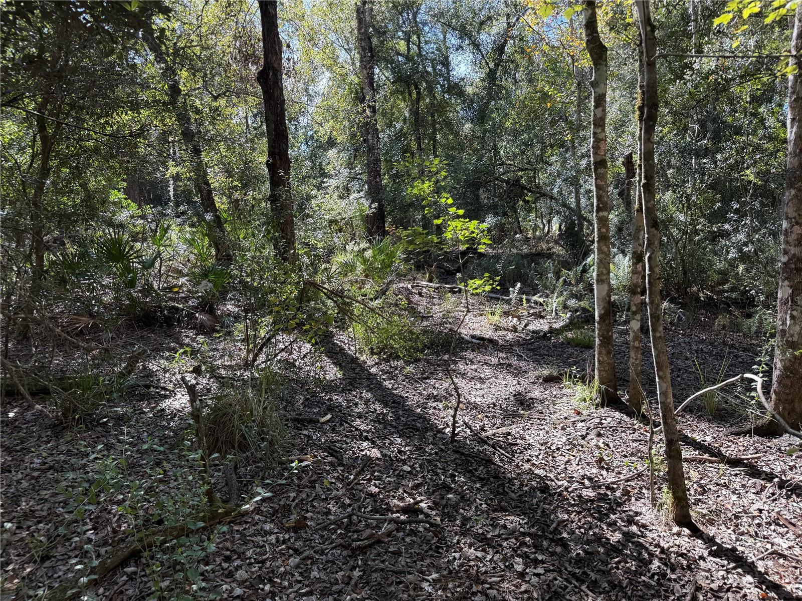 QUAIL HOLLOW PINES - Land