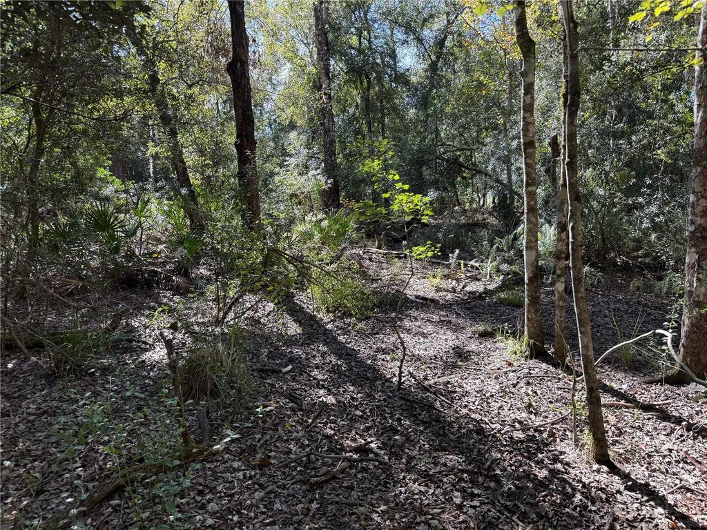 Photo of 27975 Robin Roost Lane, Wesley Chapel, FL 33544 (MLS # TB8447806)