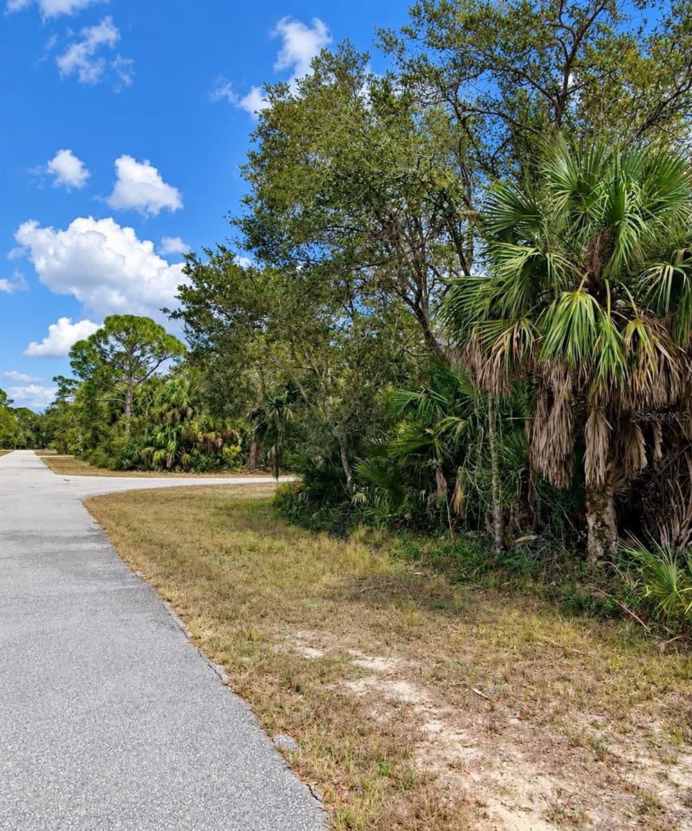 Photo of 17117 Geoffrey Avenue, Port Charlotte, FL 33948 (MLS # A4710007)
