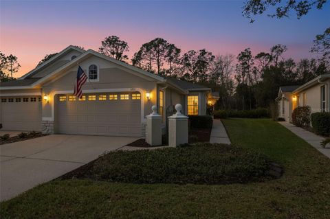 Photo of 3252 Chapel Creek Circle, Wesley Chapel, FL 33544 (MLS # TB8480893)
