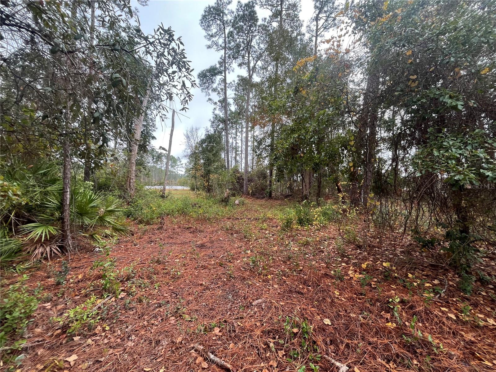 INTERLACHEN LAKES ESTATES - Land