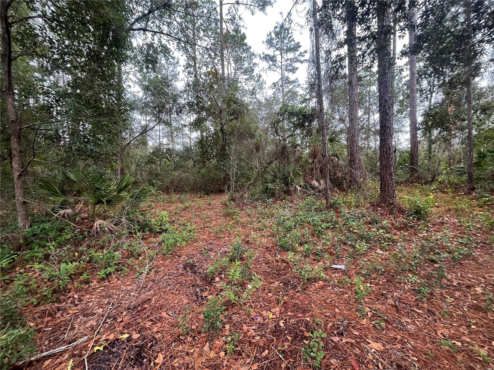 INTERLACHEN LAKES ESTATES - Land