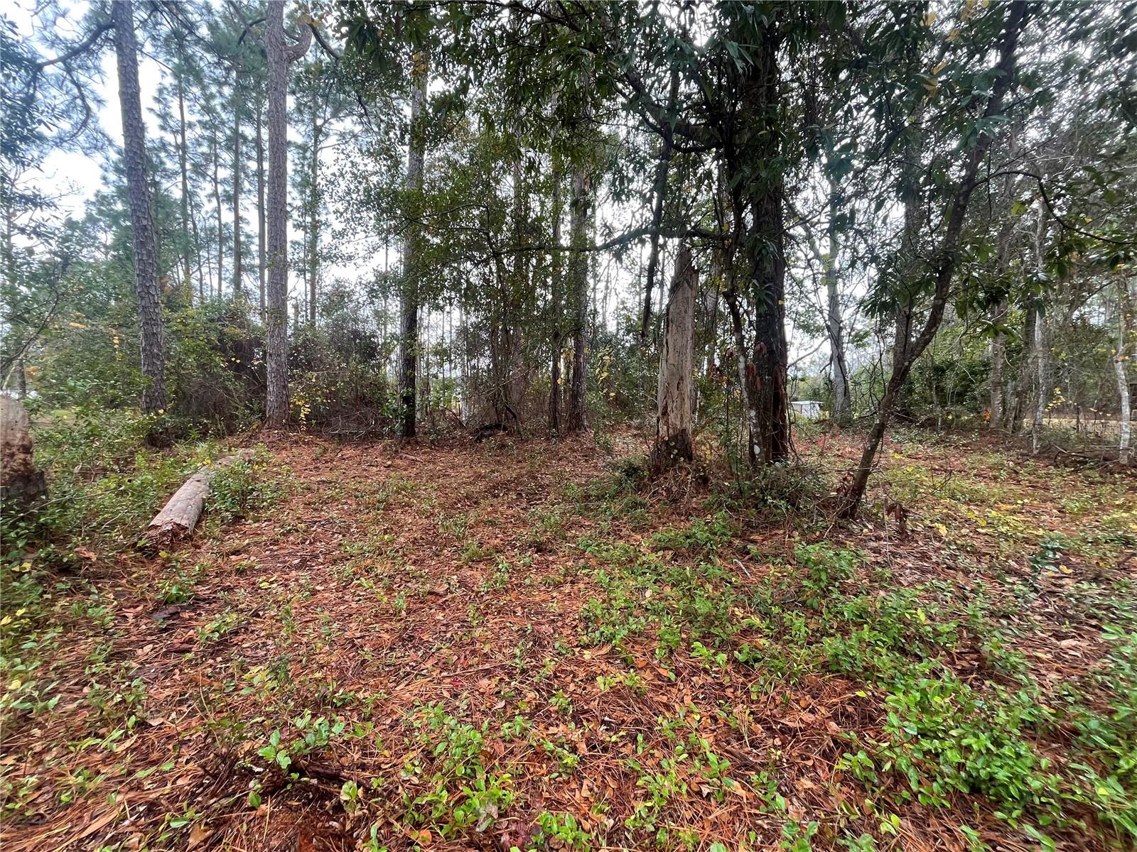 INTERLACHEN LAKES ESTATES - Land