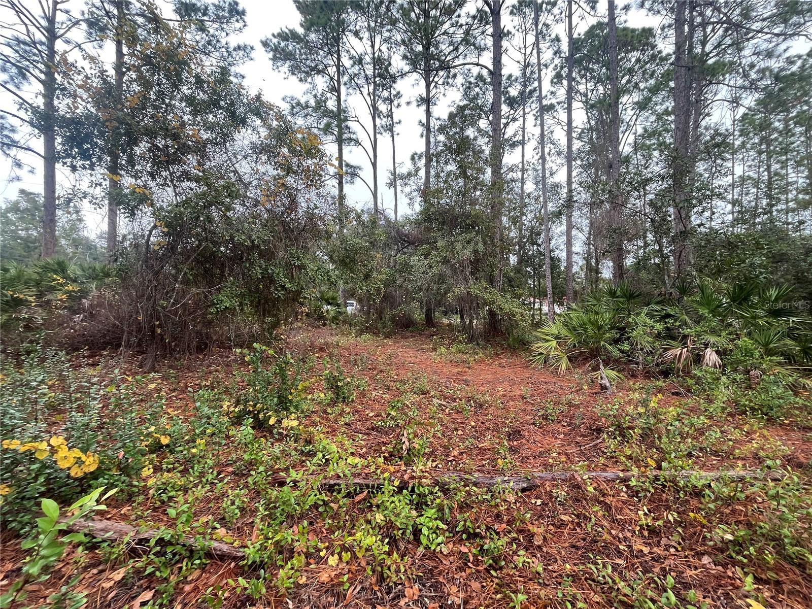 INTERLACHEN LAKES ESTATES - Land