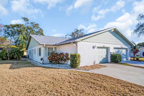 Photo of 3201 Mcmath Drive, Palm Harbor, FL 34684 (MLS # TB8473828)