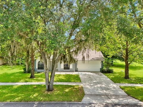 A home in ZEPHYRHILLS