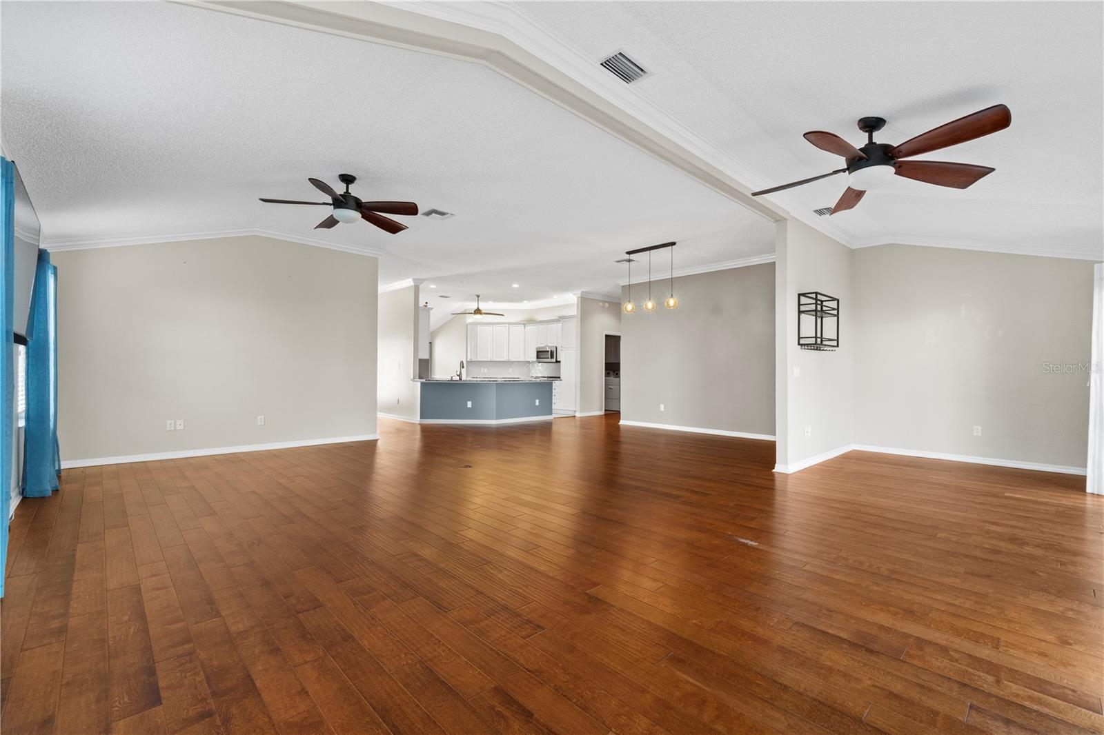 VILLAGES OF SUMTER - Residential