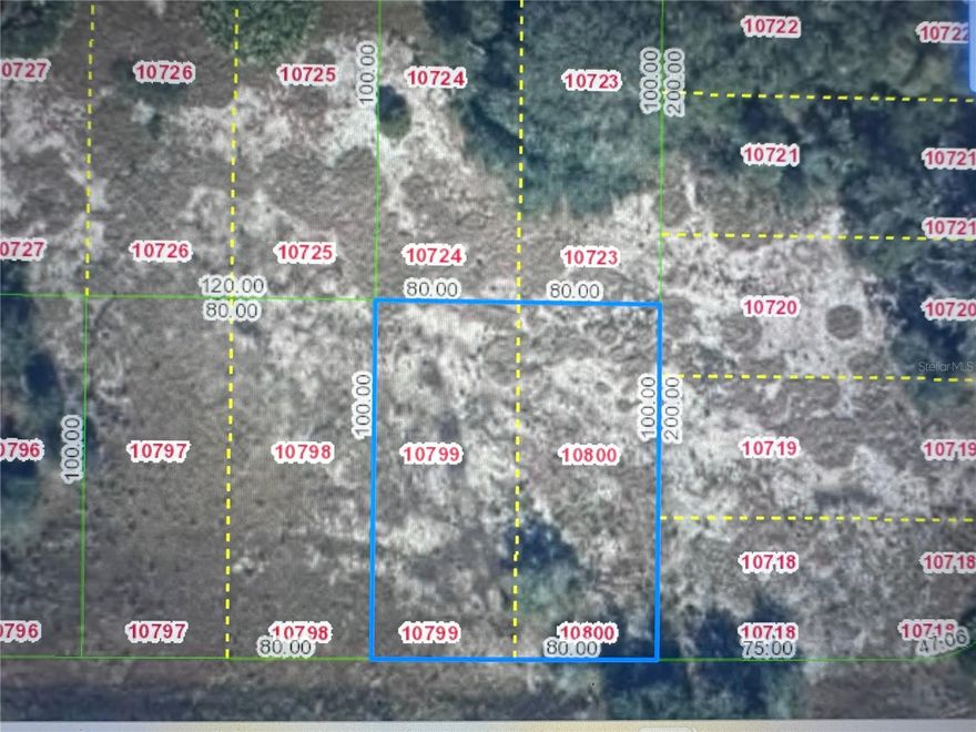 Build your dream home on this beatiful vacant residential lot located in the desirable Avon Park Lake community. Just minutes from downtown Avon Park, shopping, and schools, No HOA, low taxes, and ready for you new construction project.