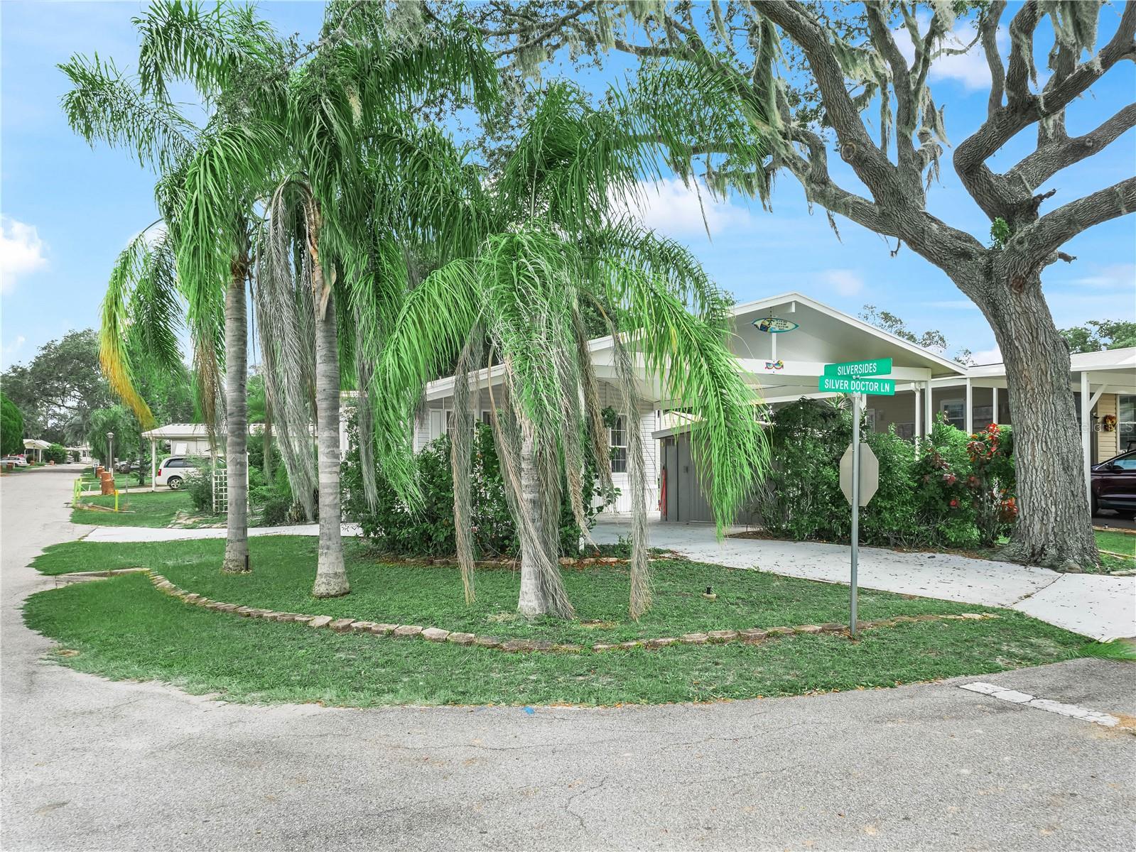 SADDLEBAG - Residential