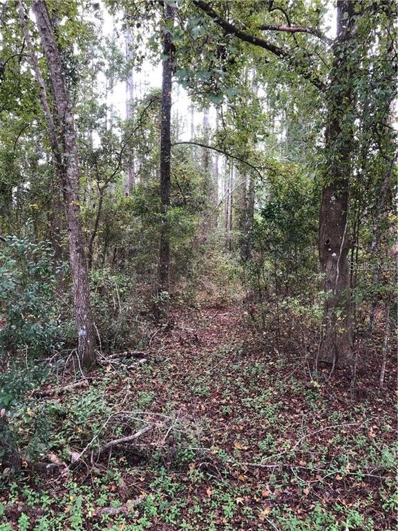 HOLLY ACRES REP - Land