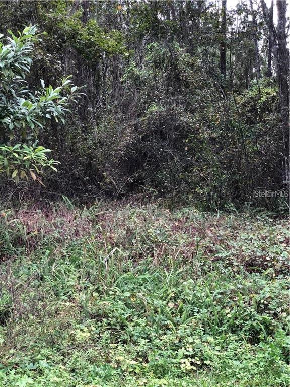 HOLLY ACRES REP - Land