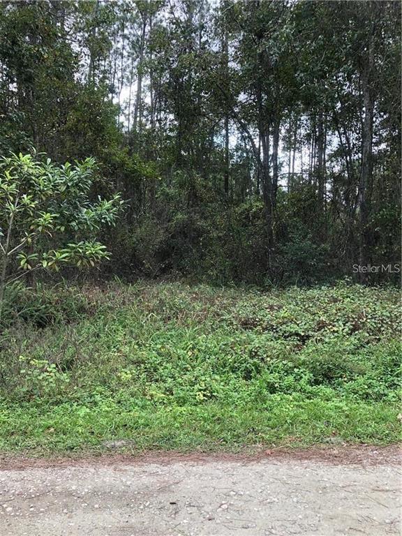 HOLLY ACRES REP - Land