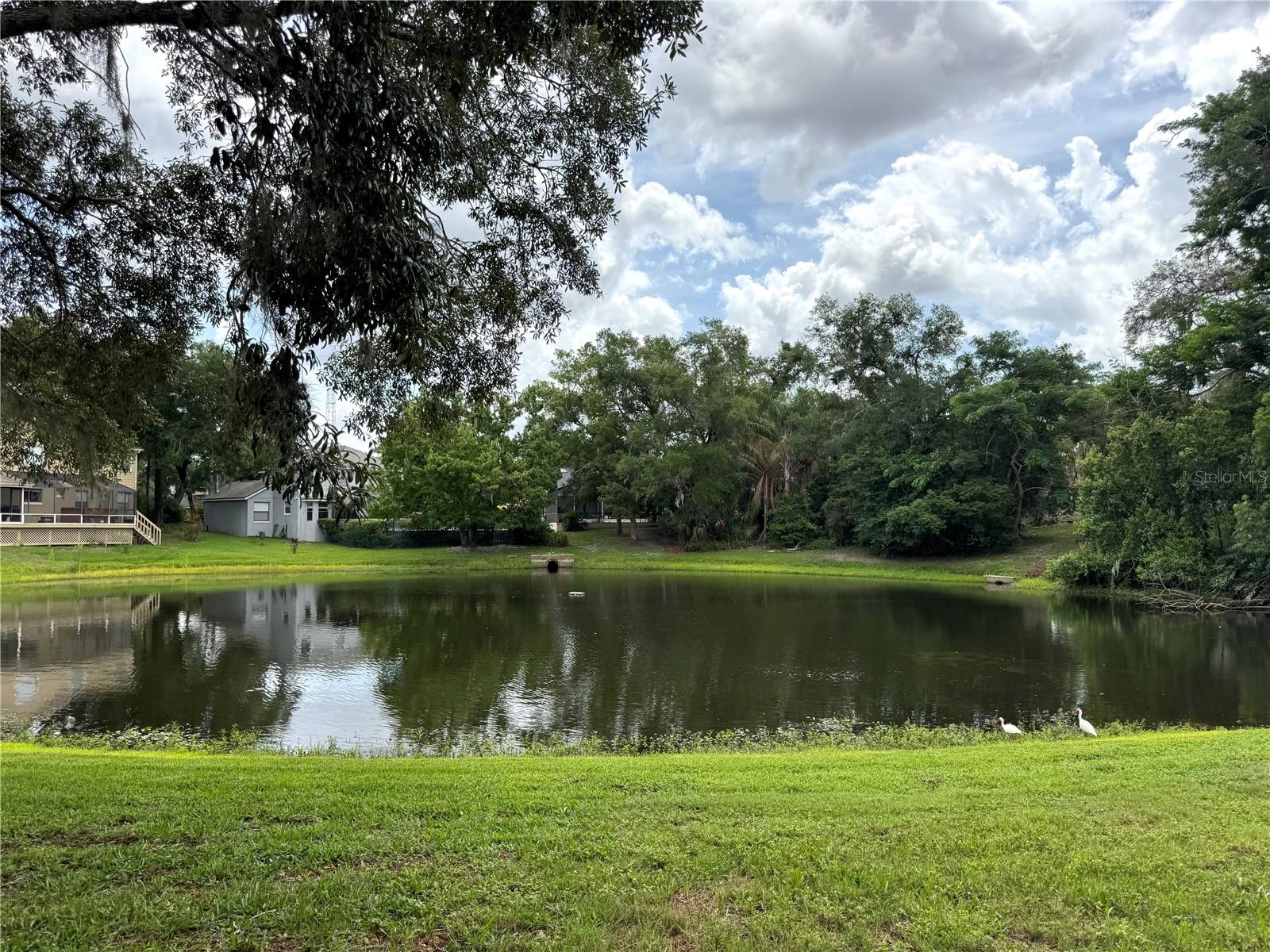 1043 BUCKSAW PLACE