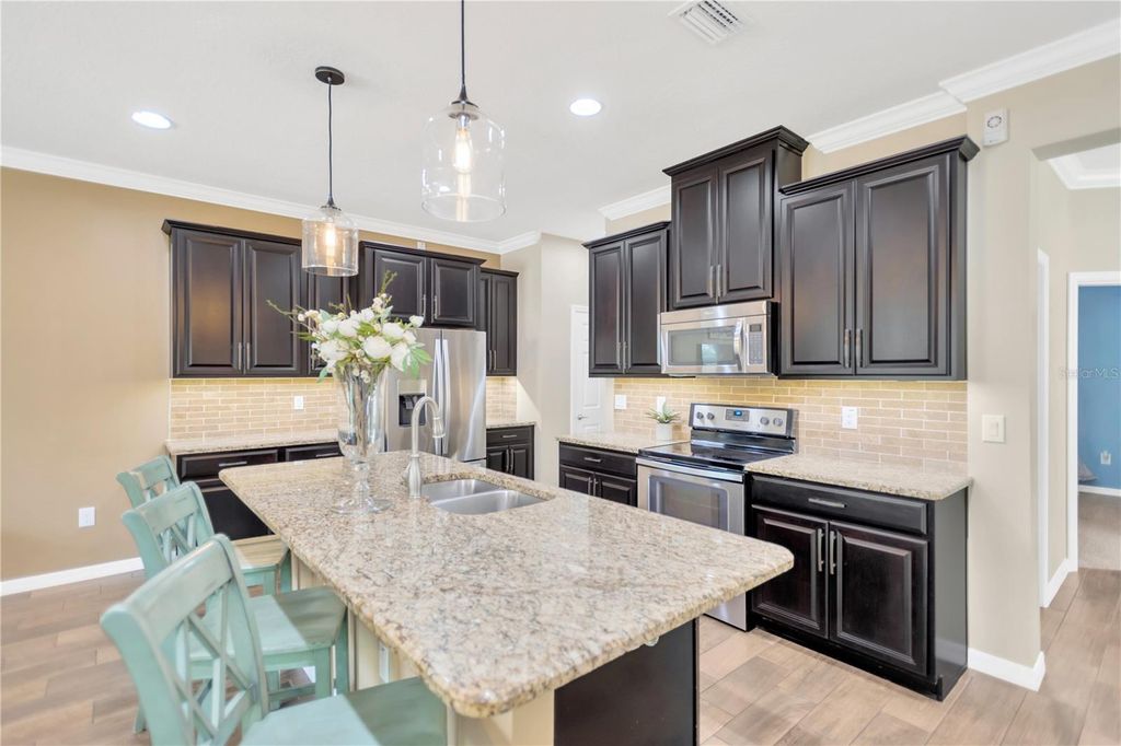 Photo of 18913 Cornuta Street, Lutz, FL 33558 (MLS # TB8415019)