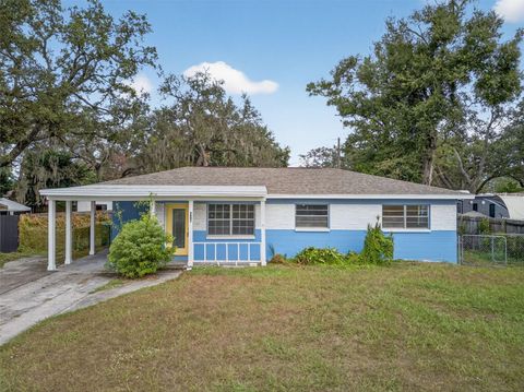207 W BOUGAINVILLEA AVENUE TAMPA FL 33612