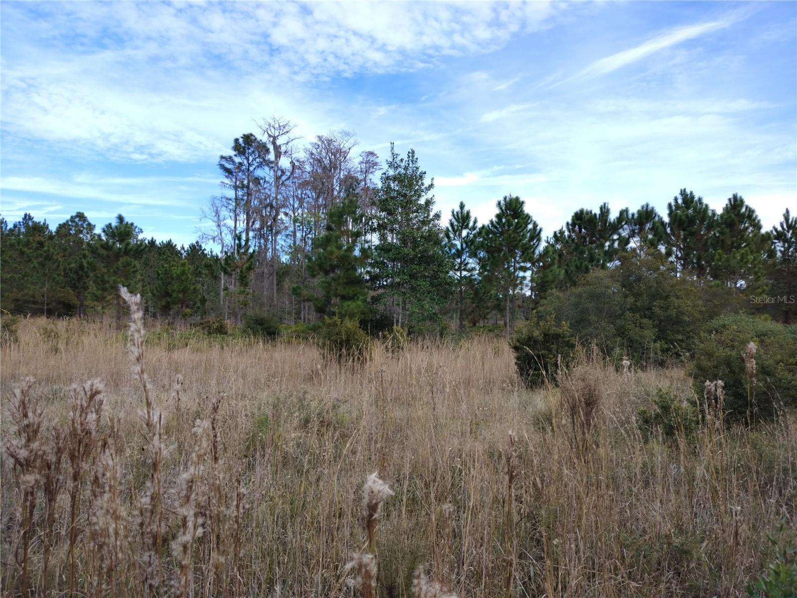 OAK GROVE REC SUB - Land