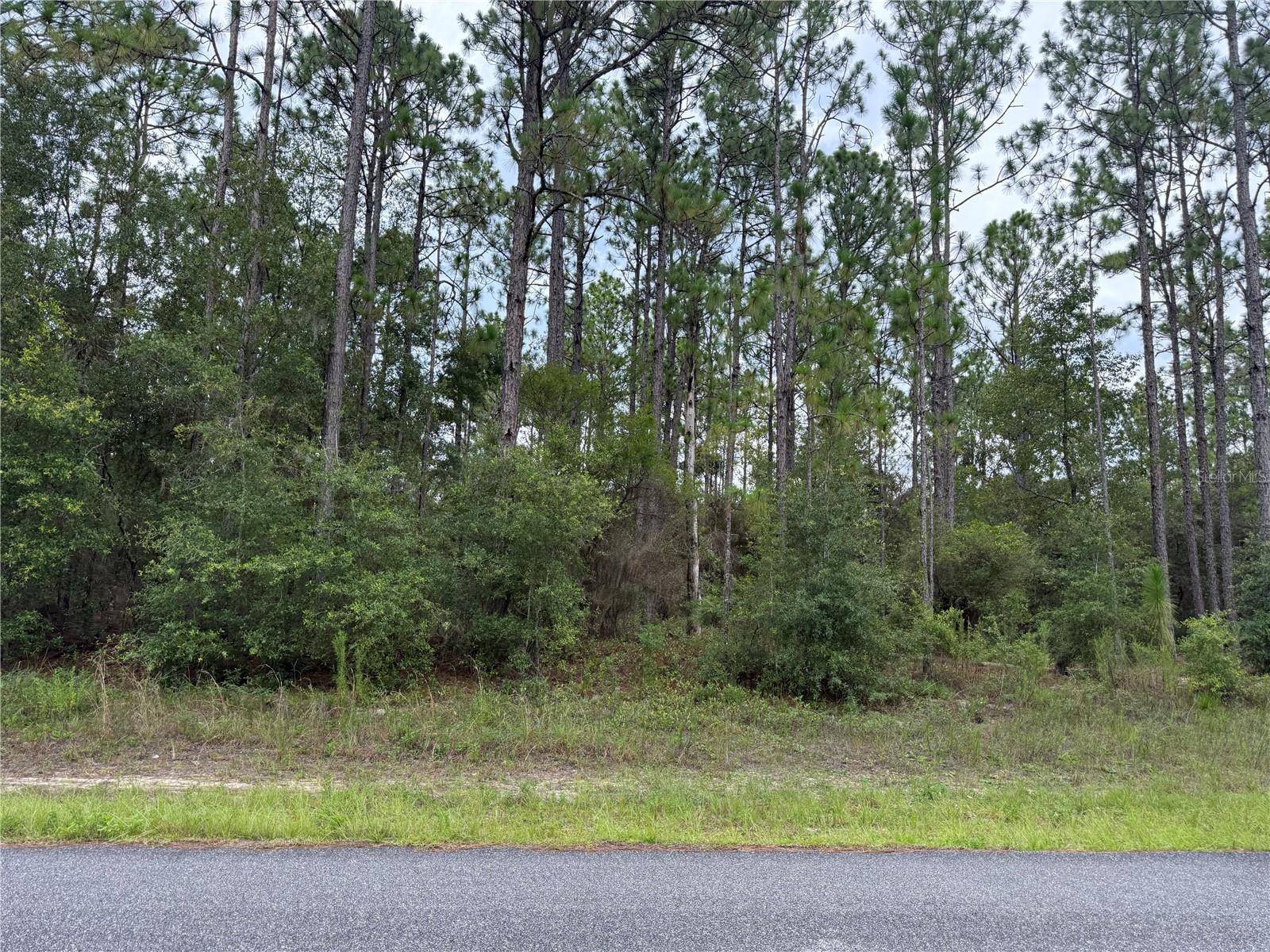This is an amazing opportunity to own .49 acre commercial (land use) property in the residential community of Citrus Springs! Be one of the first to break ground and grow your business