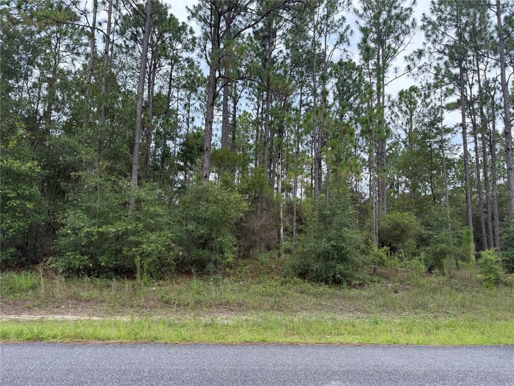 Photo of 1675 W Donner Drive, Citrus Springs, FL 34434 (MLS # W7878402)