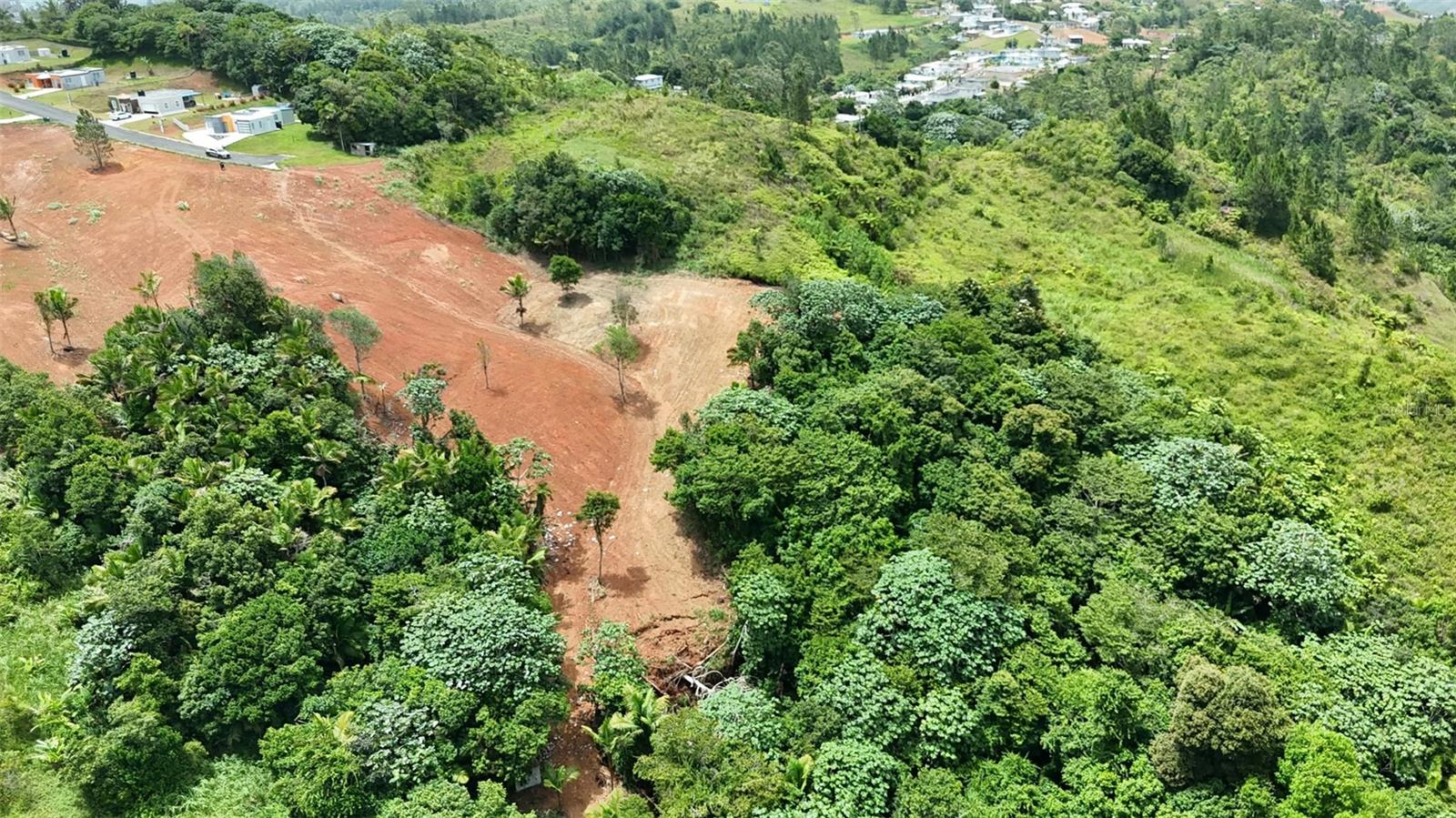 PR 770 KM 2.9 PARCELA 3 PALO HINCADO