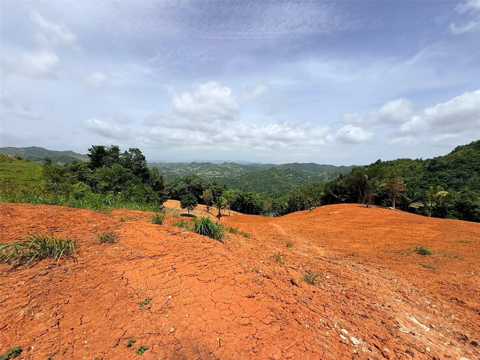 PR 770 KM 2.9 PARCELA 3 PALO HINCADO