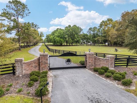 3595 NW 156TH DRIVE NEWBERRY FL 32669
