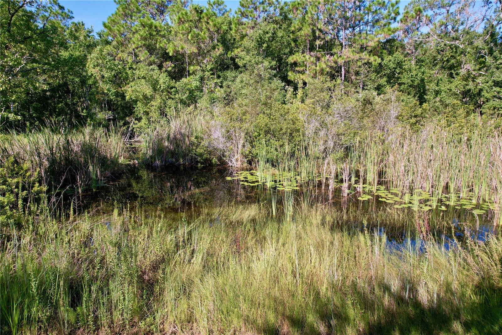 BEAR CREEK ESTATES - Land