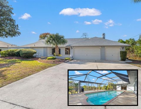 Photo of 5327 Lydia Court, Spring Hill, FL 34608 (MLS # TB8445921)