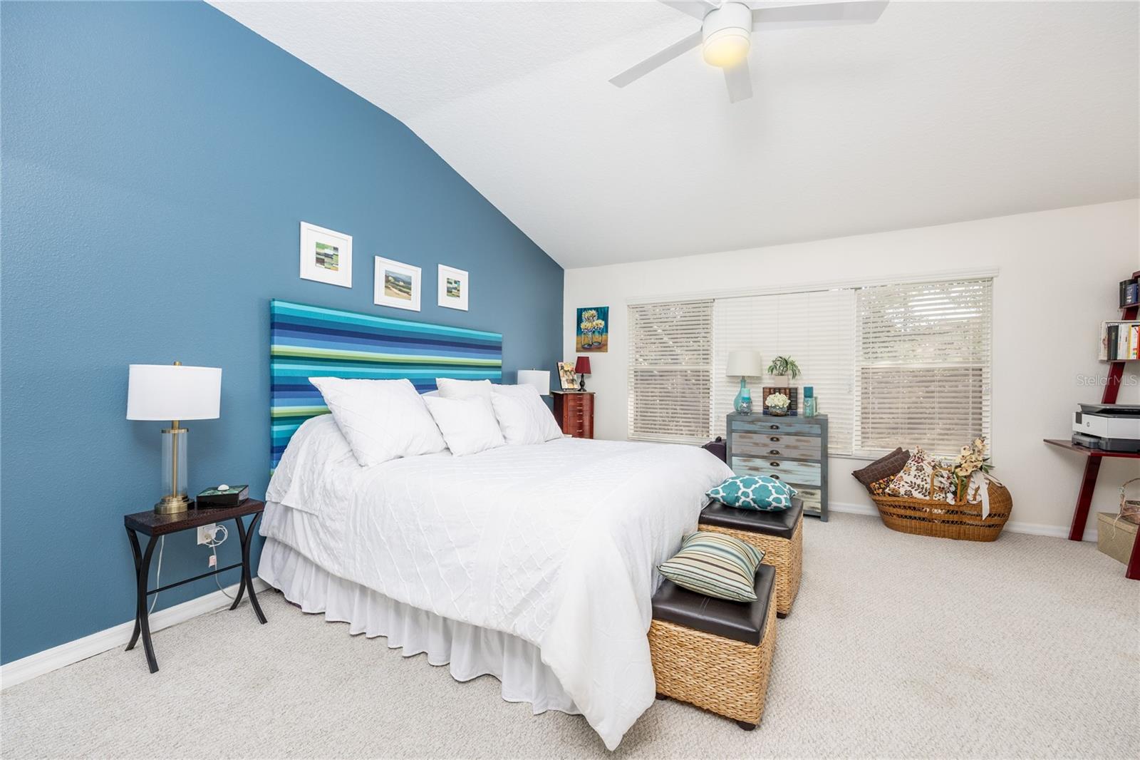 WINDSOR PLACE AT CITRUS PARK P - Residential