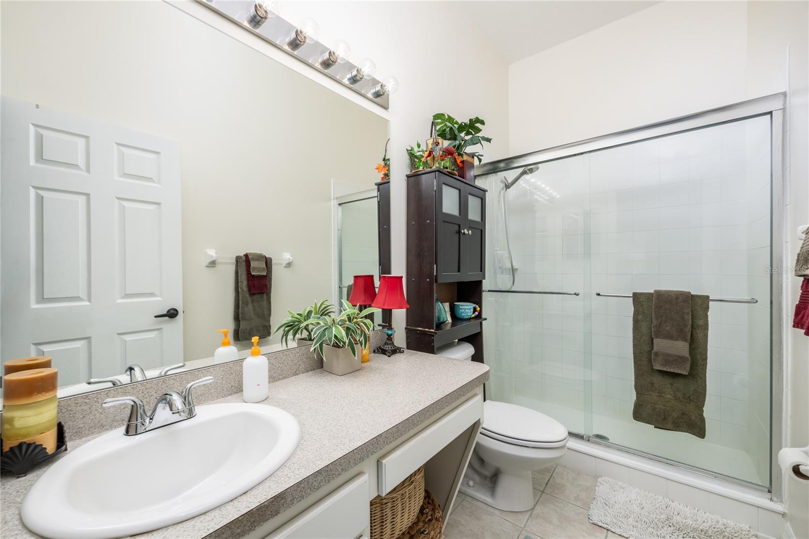 WINDSOR PLACE AT CITRUS PARK P - Residential