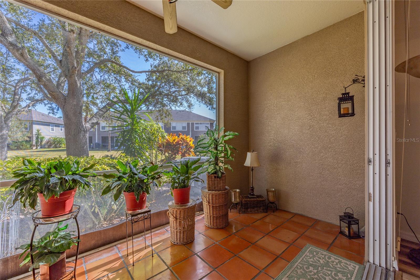 WINDSOR PLACE AT CITRUS PARK P - Residential