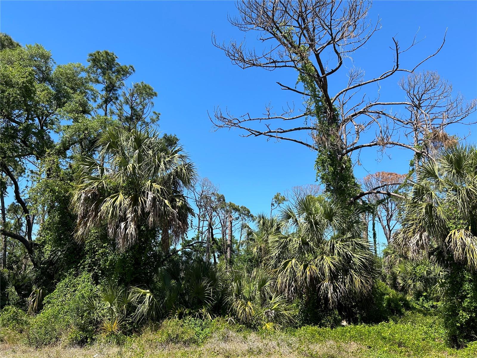 Ready to build your dream home? Looking to add to your investment portfolio? Conveniently located close US-41 and a short drive to shops, restaurants, parks and gulf coast beaches! Enjoy the Florida lifestyle with an abundance of outdoor activities, world class beaches, boating, golfing and more. The Port Charlotte Sports Park is less than a 10 min drive, where you can watch the Tampa Bay Rays Baseball team spring training!! No HOA, no CDD fees! Not in a flood zone! All offers must be submitted in writing.