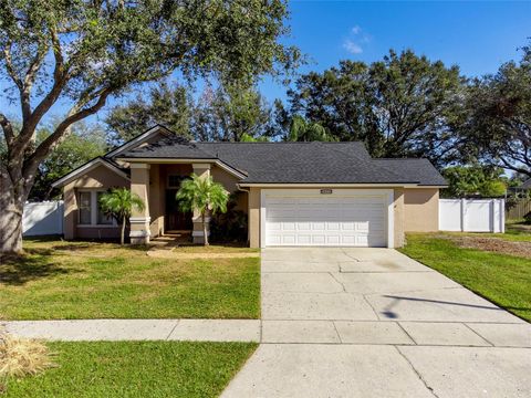 A home in RIVERVIEW