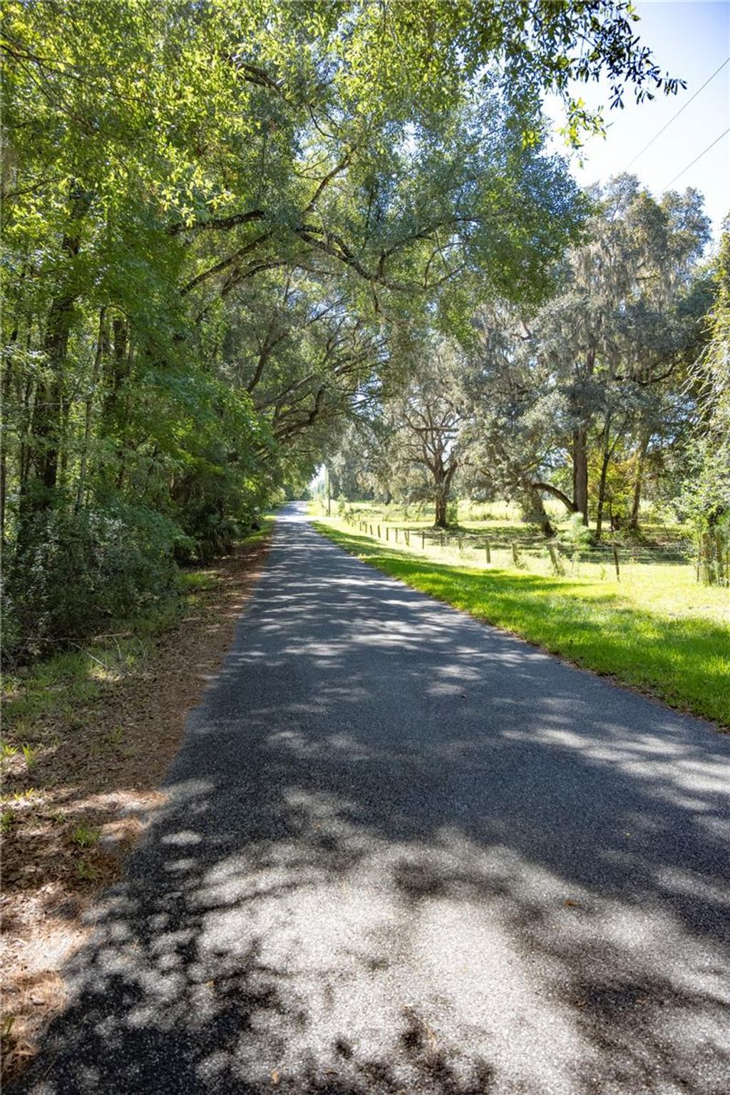 Photo of Tbd NW 160th Avenue, Williston, FL 32696 (MLS # OM711266)