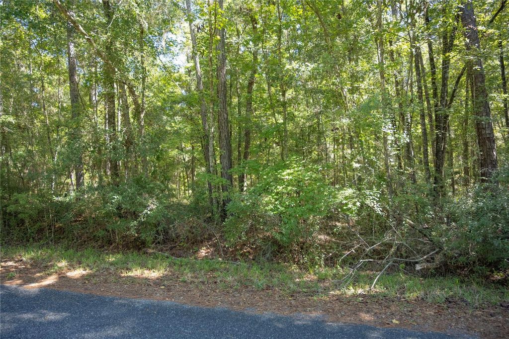 Photo of Tbd NW 160th Avenue, Williston, FL 32696 (MLS # OM711266)