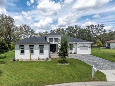 Photo of 12954 Marabou Drive, Spring Hill, FL 34610 (MLS # TB8424377)
